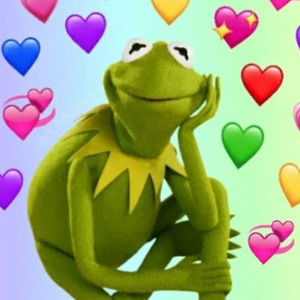 Meet your Posher, Stella